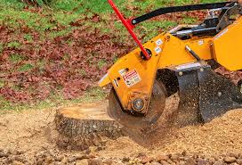 Tree and Shrub Care in Loyalhanna, PA